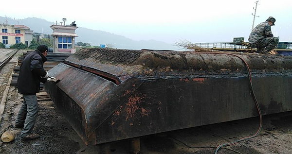 5c53d603bd992.jpg mmexport1548052792591.jpg