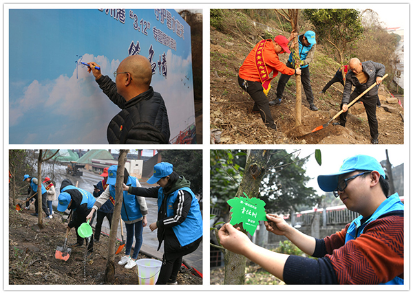 5c876cc07750c.jpg 2.jpg