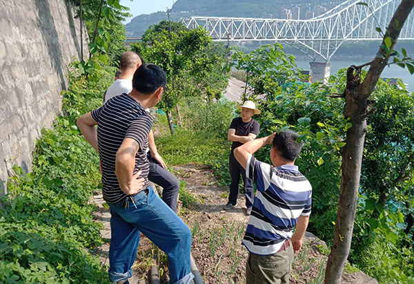 5cc791f3145a4.jpg 微信圖片_20190428165340.jpg