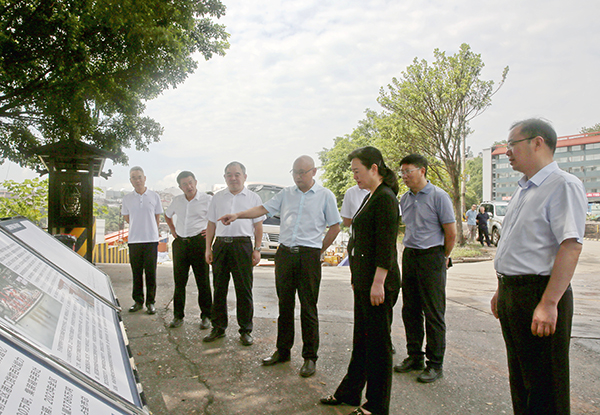 66b47a2fe9d65.jpg 6.jpg